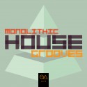 Monolithic House Grooves