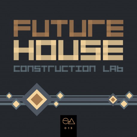 Future House Construction Lab